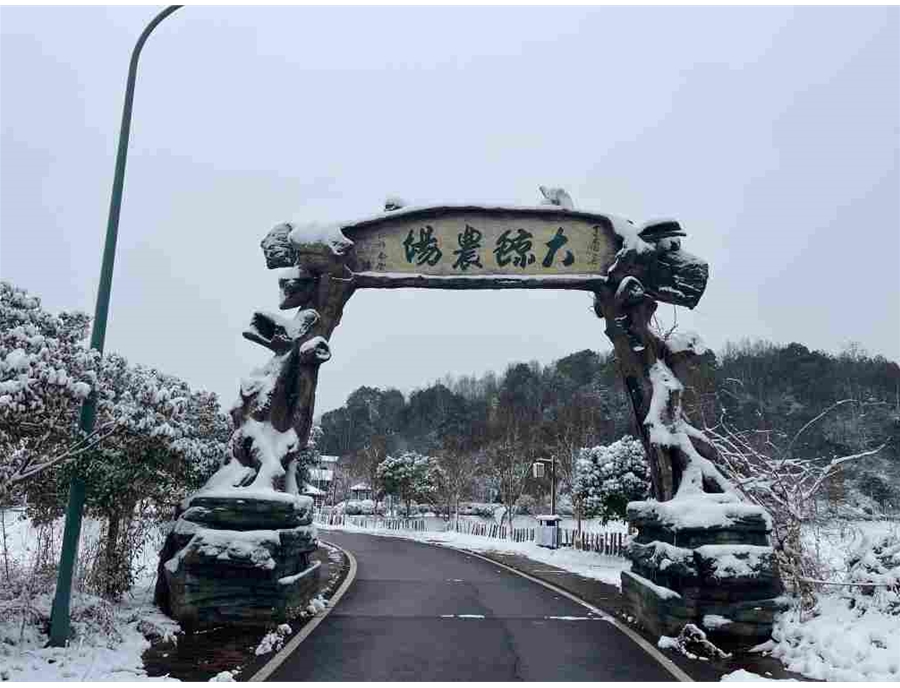 林海藏雅趣 轨径焕新生 —— 长沙大鲸农场追云号单轨滑车迭代纪实